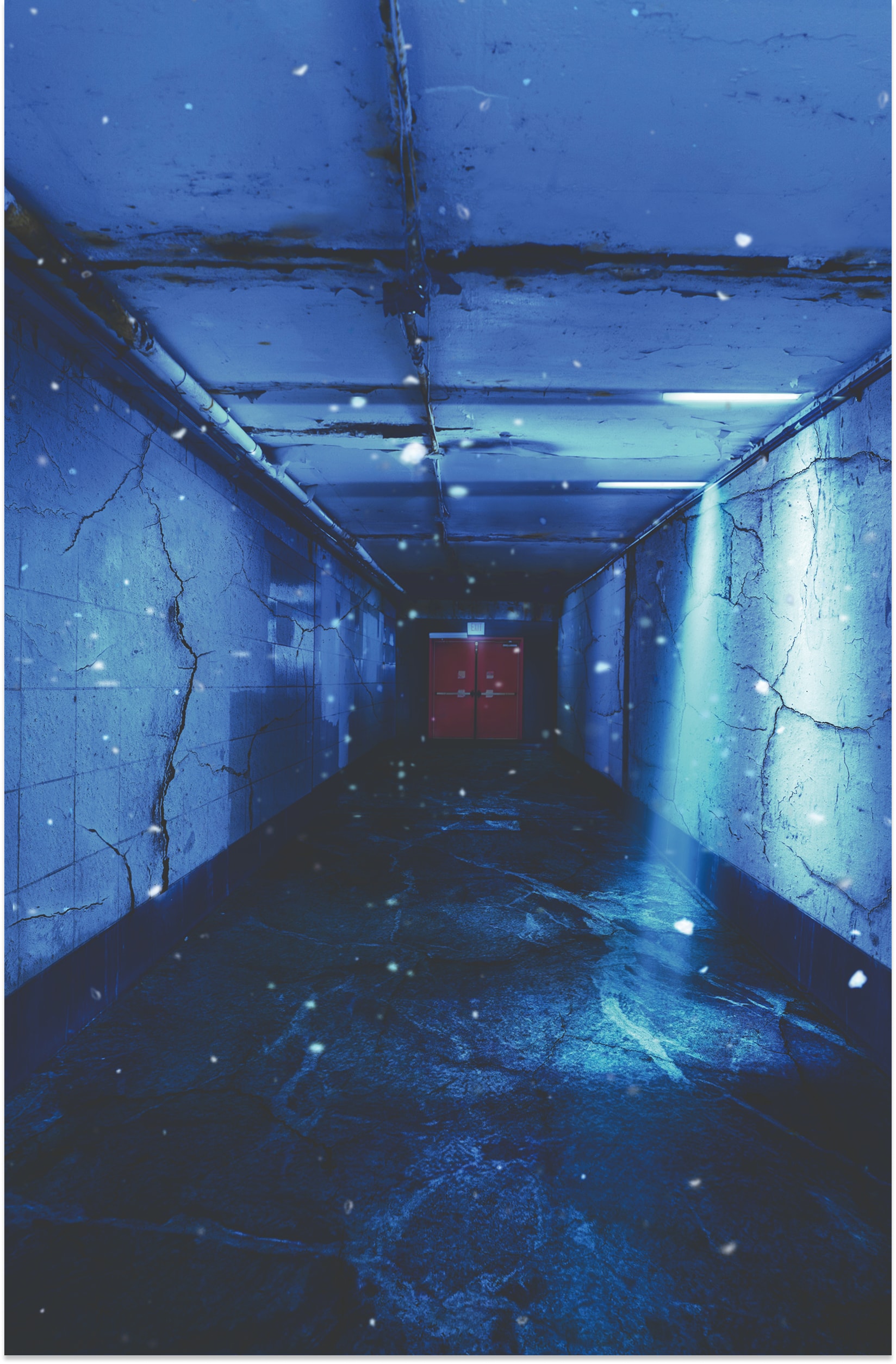 STRANGER THINGS  X  POLAROID